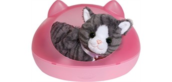 BABY born Mein Kätzchen Cookie mit Box