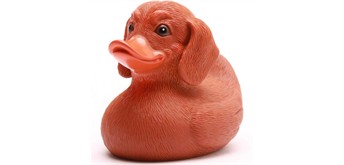 Badeente Gummiente Dackel Quietscheente