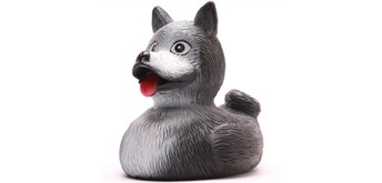 Badeente Gummiente Husky Quietscheente