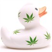 Badeente Hanf | Bild 2