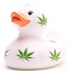 Badeente Hanf