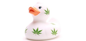 Badeente Hanf