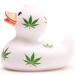 Badeente Hanf | Bild 4