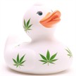 Badeente Hanf | Bild 5