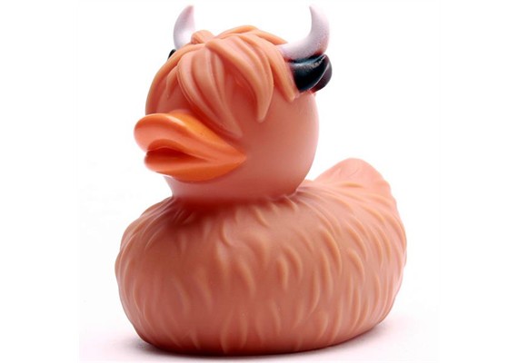 Badeente Highland Rind
