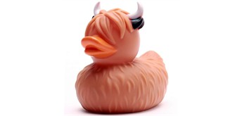 Badeente Highland Rind