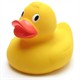 Badeente Quietscheentchen 21 cm XL