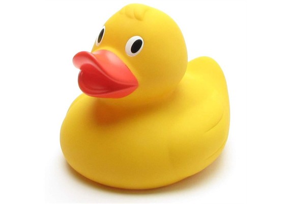 Badeente Quietscheentchen 21 cm XL
