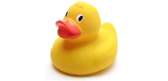 Badeente Quietscheentchen 21 cm XL