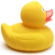 Badeente Quietscheentchen 21 cm XL | Bild 2