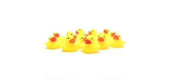 Badeente Quietscheenten - 5 cm 15er Set