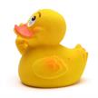 Badeente Stinkefinger "Siggi" - Gummiente | Bild 4