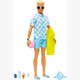Barbie Strandtag Ken