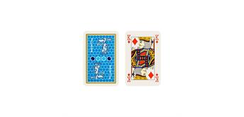 Brändi Dog Karten-Set Premiumqualität (110 Karten)