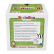 Brainbox Weltreise | Bild 6