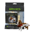 Brixies - Bernhardiner Hund | Bild 2