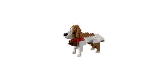 Brixies - Bernhardiner Hund