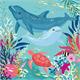 Card Group Karte Exotic Dolphins