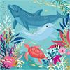 Card Group Karte Exotic Dolphins