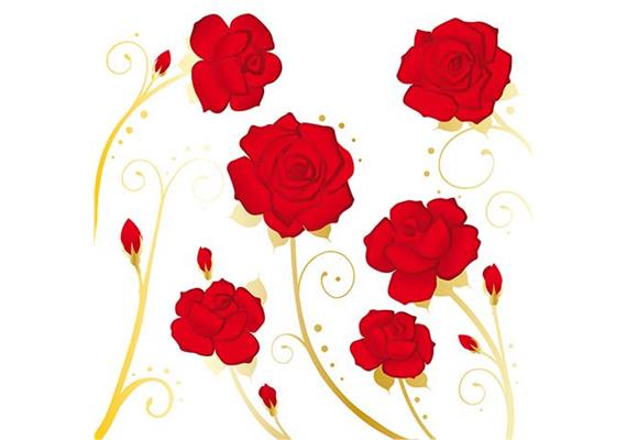 Card Group Karte Fabulous Roses
