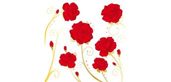 Card Group Karte Fabulous Roses