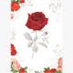 Card Group Karte Mini Shimmering Rose