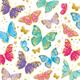 Card Group Karte Shiny Butterflies