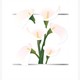 Card Group Mini Karte Beautiful Lillies