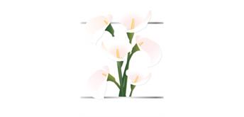 Card Group Mini Karte Beautiful Lillies