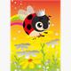 Card Group Mini Karte Colourful Ladybug