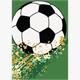 Card Group Mini Karte Elegant Football