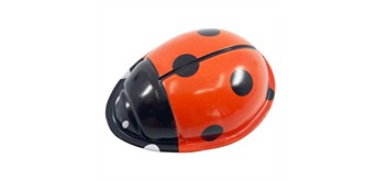 Click Clack Ladybird
