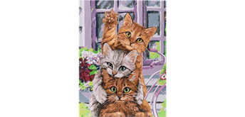 Craft Buddy - Paint by Numbers "Hi Kittens" 30 x 40 cm