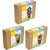 Creathek 63521655 Pflanzen Häkel-Set 3-fach sortiert, 1 Stück