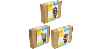 Creathek 63521655 Pflanzen Häkel-Set 3-fach sortiert, 1 Stück