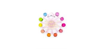 Creative Education 88082 Daisy Delight Mini-Haarspangen