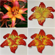 Crystal Art A6 Stamp "Luminous Lily" | Bild 4
