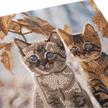 Crystal Art Autumn Kittens, 30 x 30 cm mit Rahmen | Bild 2