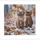 Crystal Art Autumn Kittens, 30 x 30 cm mit Rahmen