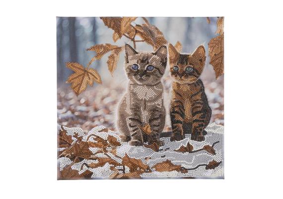 Crystal Art Autumn Kittens, 30 x 30 cm mit Rahmen