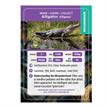 Crystal Art Buddy - Aligator | Bild 3