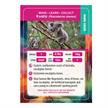 Crystal Art Buddy - Koala | Bild 3