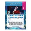 Crystal Art Buddy - Seahorse | Bild 3