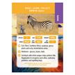 Crystal Art Buddy - Zebra | Bild 3