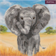 Crystal Art Card Kit Baby Elephant 18 x 18 cm