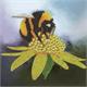 Crystal Art Card Kit "Bumblebee" 18 x 18 cm