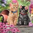 Crystal Art Card Kit "Cat Friends" 18 x 18 cm | Bild 4