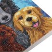 Crystal Art Card Kit Dogs 18 x 18 cm | Bild 3