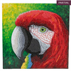 Crystal Art Card Kit Pretty Parrot 18 x 18 cm