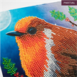 Crystal Art Card Kit Robin 18 x 18 cm | Bild 3